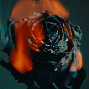 9191在线精品播放
